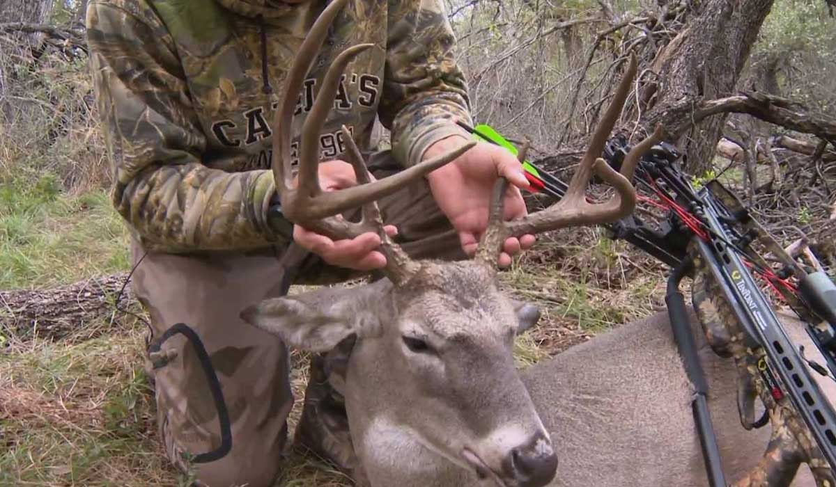 Best Crossbow For Deer Hunting