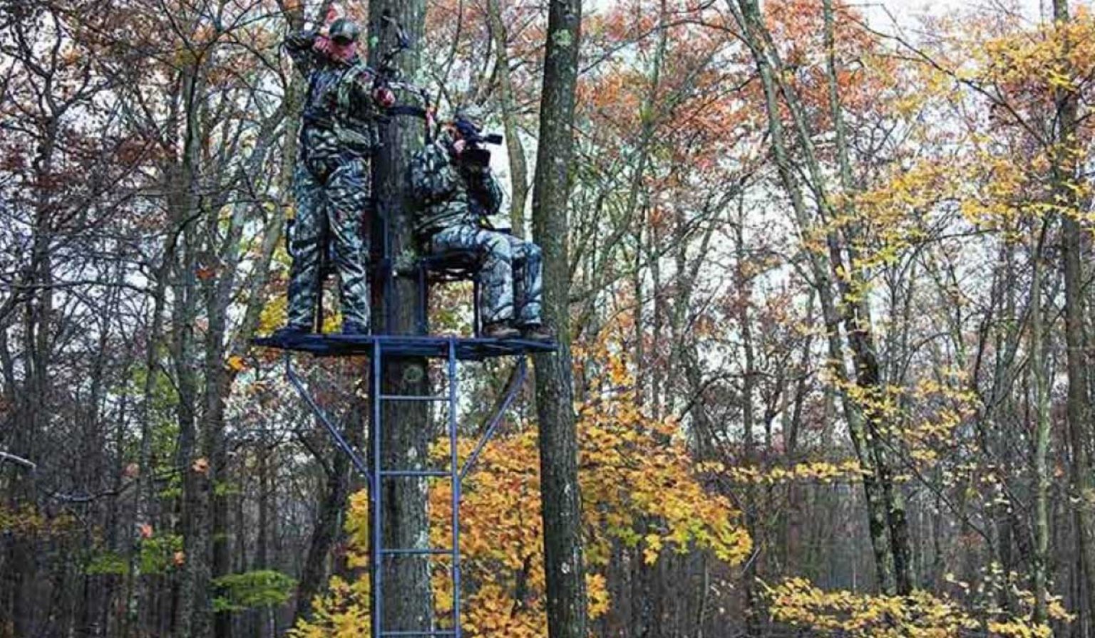 Best Ladder Tree Stand for Hunting | 10 Best