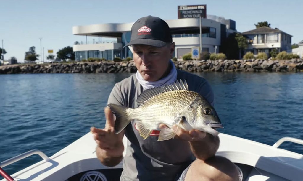 Bream Fish In Georgia