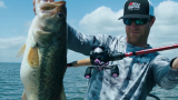 Best Baitcasting Reel Under $150
