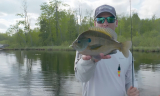 Best Bluegill Hooks