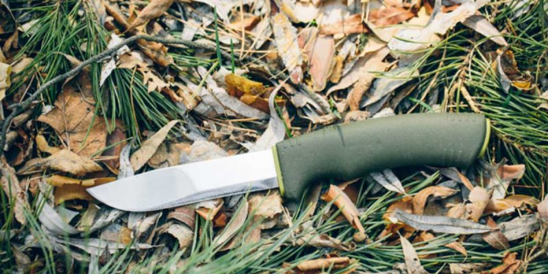 Best Bushcraft Knife Under 100 Dollar