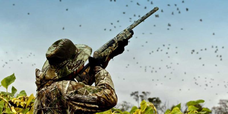 Best Choke For Dove Hunting