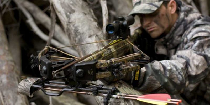 Best Crossbow For The Money