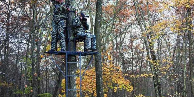 Best Ladder Tree Stand