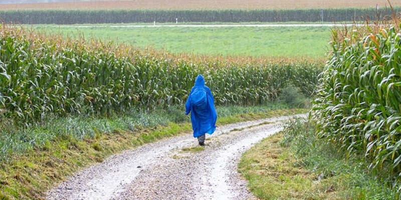 10 Best Lightweight Packable Rain Jacket Women’s