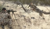 Best Night Vision Scope For Coyote Hunting