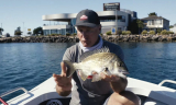 Bream Fish In Georgia