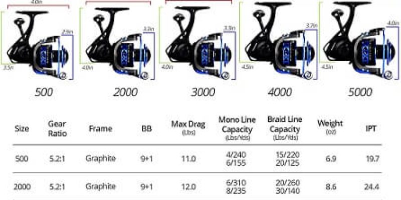 Kastking Summer and Centron Spinning Reel Review