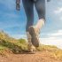 10 Best Water Filter for Backpacking